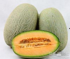 悟空吃哈密瓜视频,趣味横生夏日时光